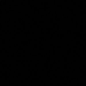 Meet your Posher, Reem